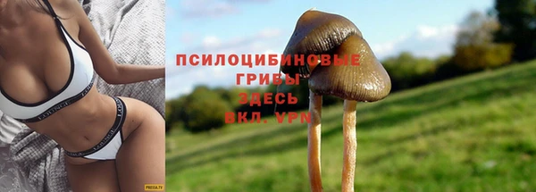 spice Волосово