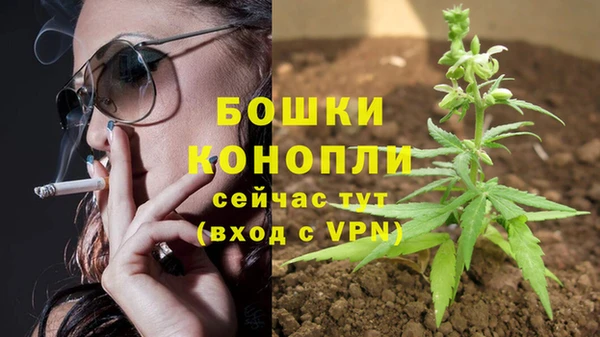 spice Волосово