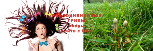spice Волосово