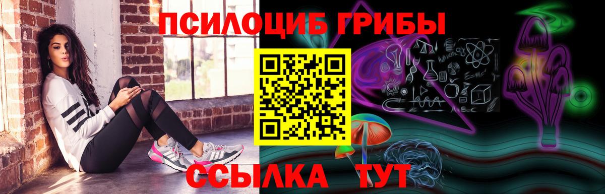 Галлюциногенные грибы ЛСД Томск